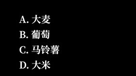 国际标准体育场的朝向是 冷知识 体育场