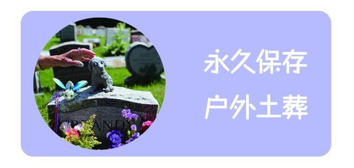 图 宠物殡葬 猫咪死后怎么办 北京宠物服务 