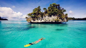 巴厘岛七日游游记推荐：哪家旅行社性价比更高？