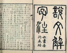 花光积蓄 坐十年冷板凳无人搭理 他为何仍为汉字痴狂