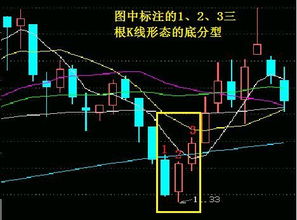 股票期货交易：求技术形态高手详细画图说明什么是双底？w底？什么是三底？