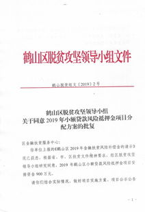 2号2019年风险补偿金资金分配方案批复 