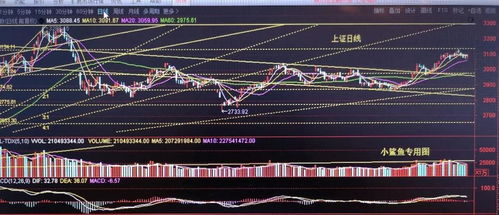 如何看待金亚科技？会不会成为创业板退市第一股