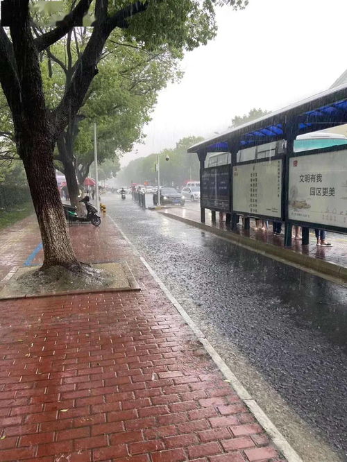 从不缺水的苏州今天被这场大暴雨给吓坏了 最惨的是还要一直下到明天 欢迎来苏州看海