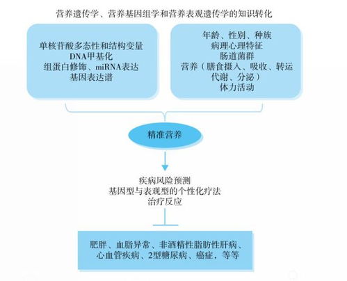 下一个营养届的 顶流 会是 精准营养 吗