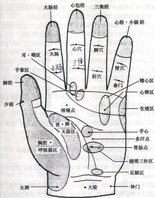 搜狗图片搜索