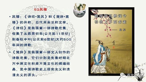 古代文化常识易混100组微景观