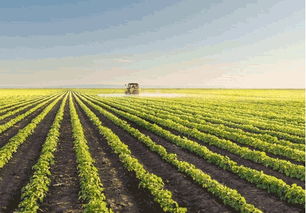 生态农业平台 为您提供新鲜的农产品