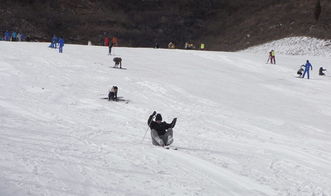 太原梅苑南山滑雪场,太原最大最棒的滑雪场 