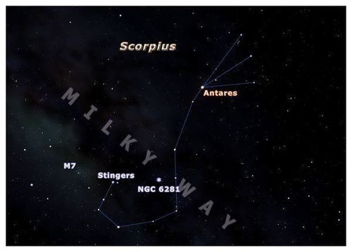 什么是昴宿星团 它有什么特别之处 它又在哪