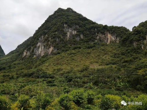 翻山越岭,也要找到您 平乐人身边的英雄们