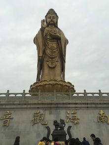 普陀山许愿祈福 新年赠送回程午餐 游西天景区 普济寺 法雨寺 南海观音 紫竹林巴士2日游 宿商务酒店