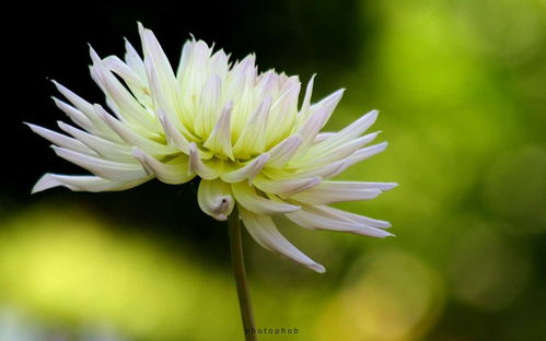 5月17日星座运势 双子脚踏实地,天蝎目光长远,射手心思缜密