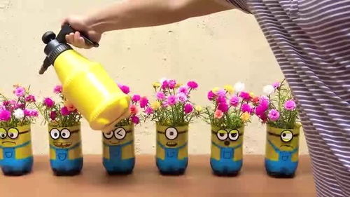 小黄人超可爱,巧用塑料空瓶,做一批可爱花盆吧 