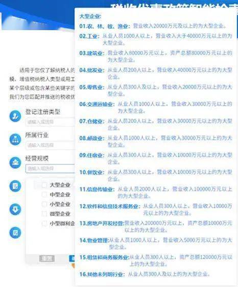 税收优惠明细表提示选择企业经济类型怎么填