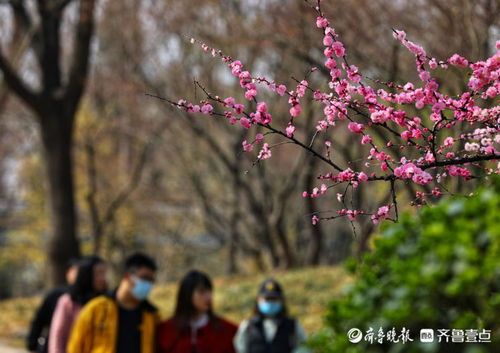 春色满园解释词语—春色满园和百花齐放的意思？