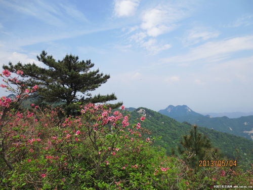 麻城龟峰山杜鹃花攻略麻城龟峰山在哪里停车(大别山免费停车场)