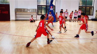活动预告 小小投篮手,篮球里面的科学知识