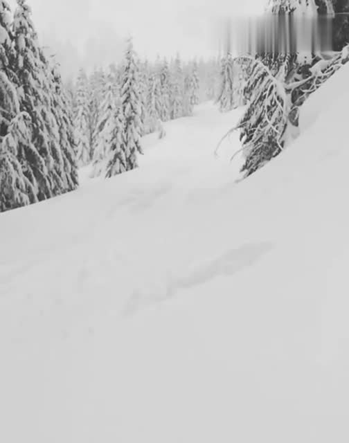 男子在雪地中玩耍 整个人淹没在雪中 