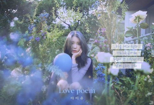 Love poem 韩语中表示否定的 和