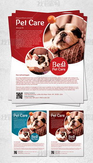 多色宠物店促销宣传广告海报图片素材下载 