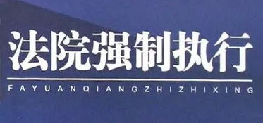 法院可强制执行他人在有限责任公司的股权吗