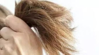 养发专委会快讯丨头发营养均衡,拒绝头发分叉