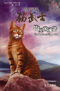 猫武士火星头像 热门头像 QQ头像大全 QQ志乐园 