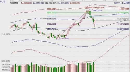 金贝塔的股市大V们一般都研究什么样的信息啊