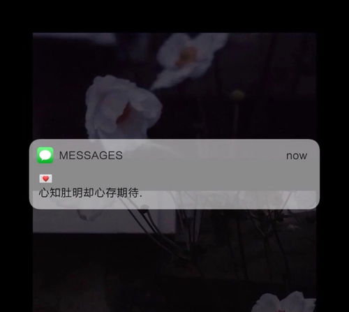 合适你长期不发朋友圈的文案