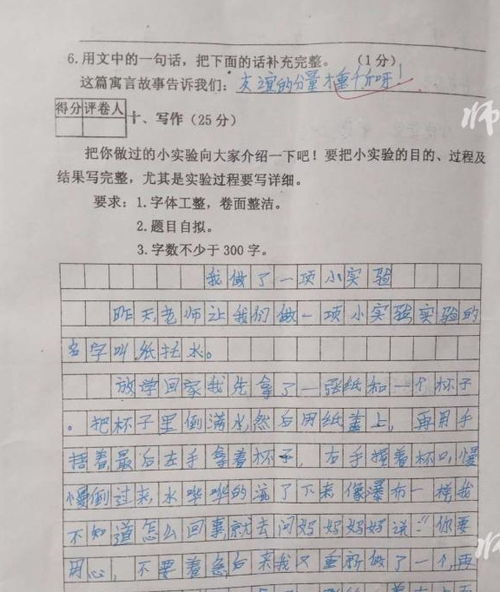 语文期中试卷有点难,学生86分,作文满分,家长认为考得还不错