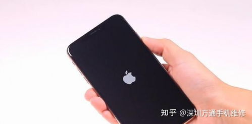 iPhone xs碎屏教你如何更换屏幕 