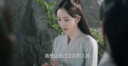 三生三世 白浅女儿身早被墨渊识破,为什么他没有拆穿 折颜一句话道出真相