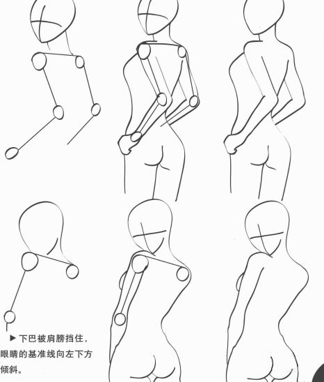 零基础初学入门画漫画身体部分教程学习