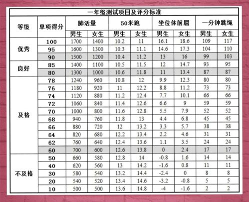 体能测试强体魄 阳光少年你和我 国家体质健康测试指南