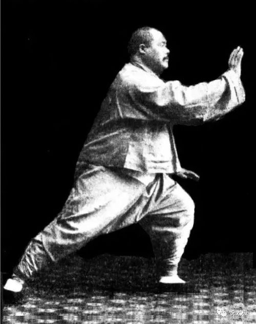 如何学练传统杨式太极拳 完整版