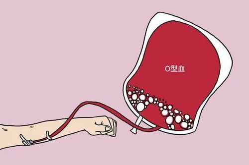 O型血被称为 万能血 ,真能随便输 告诉你答案
