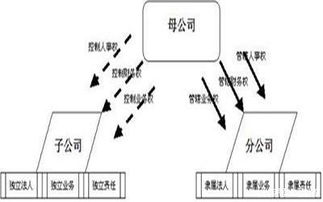 公司诉讼的流程是怎样的，分公司诉讼责任承担