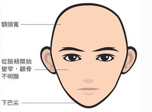 教你从脸型看出你的性格为人 不准不要钱