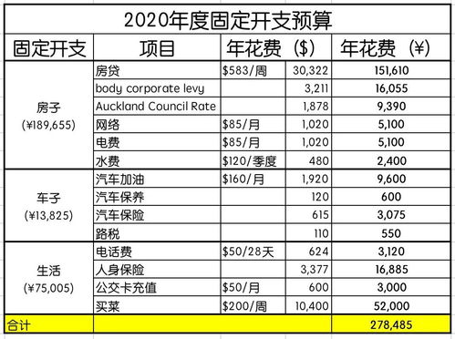 移民新西兰后,一年花了 157万 两口之家年度开销总结