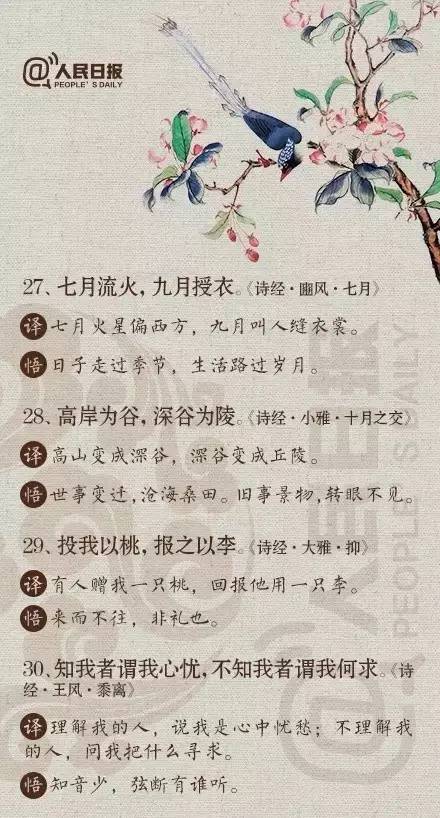 舒婷的诗歌风格是什么