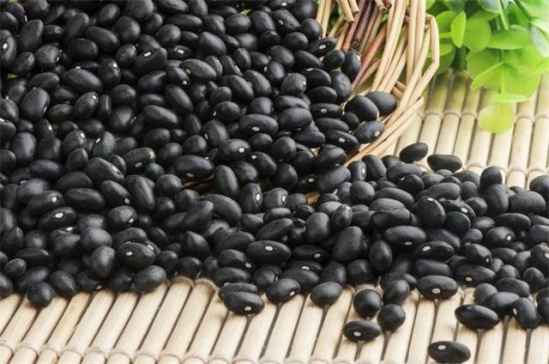 黑豆和黑芸豆的区别 黑豆和黑芸豆的区别 黑豆与黑芸豆哪个更有营养