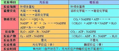 高中生物的基础知识