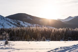 在喀纳斯的冰天雪地之间,探索旅行的初心