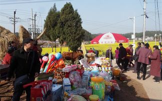 绵阳市游仙区第二届 耕读传家 民俗文化旅游节开幕