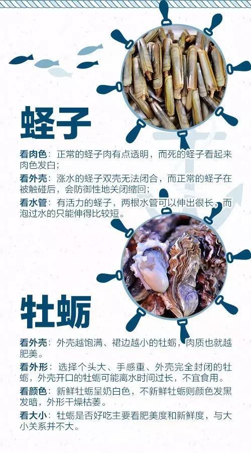 广东吃货爆料 蛏子炒出半锅水 记者亲测 最多可增重50 