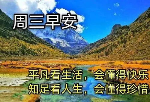 关于阴天早晨的诗句