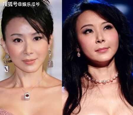 励志传奇杨怡完整;79年出生的女明星？