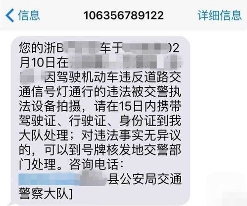 我在app看到是已经核准了。问题终审短信为什么我没有收到呢？请问会不会不通过啊！