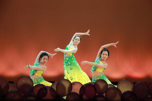 傣族的舞蹈